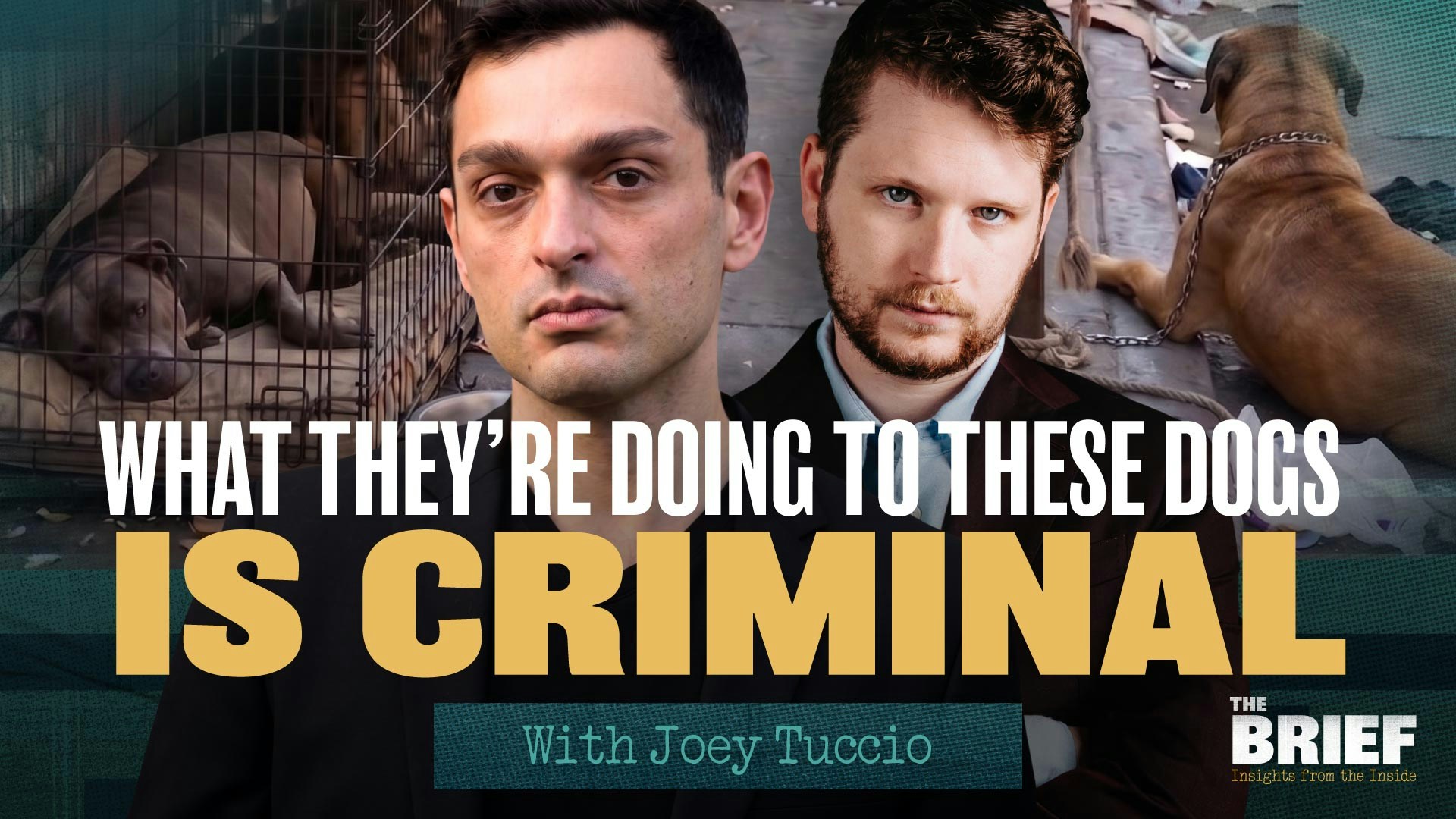 The Homeless Crisis Nobody is Talking About | The Brief with Shabbos Kestenbaum